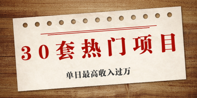 30套热门项目：网赚项目、朋友圈、涨粉套路、抖音、快手  单日最高收入过万-云网创资源站