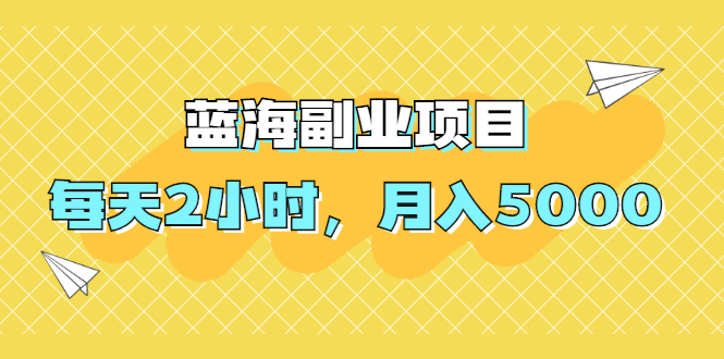 蓝海副业项目，每天2小时，月入5000，附详细操作流程-云网创资源站