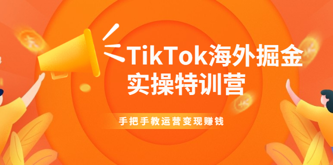 TikTok海外掘金实操特训营：手把手教运营变现赚钱【视频课程】-云网创资源站