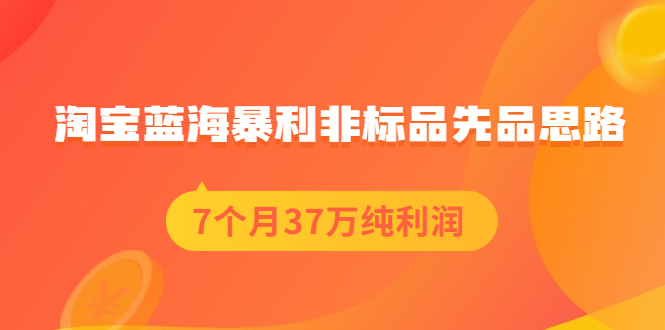 淘宝蓝海暴利非标品先品思路，7个月37万纯利润，压箱干货分享！-云网创资源站