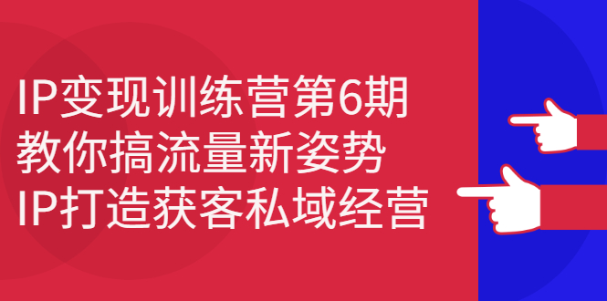 IP变现训练营第6期：教你搞流量新姿势，IP打造获客私域经营-云网创资源站