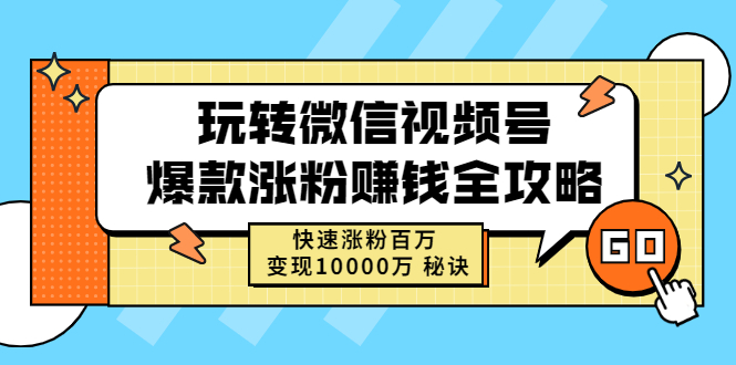 玩转微信视频号爆款涨粉赚钱全攻略，快速涨粉百万 变现10000万 秘诀-云网创资源站