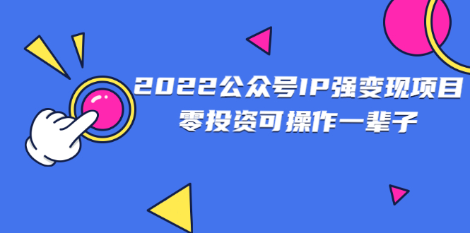 2022公众号IP强变现项目，零投资可操作一辈子-云网创资源站