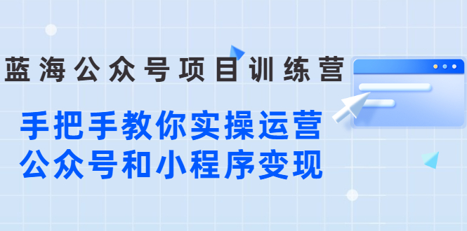 蓝海公众号项目训练营，手把手教你实操运营公众号和小程序变现-云网创资源站