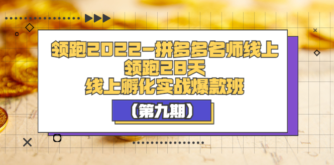 领跑2022-拼多多名师线上领跑28天，线上孵化实战爆款班-云网创资源站