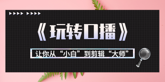 月营业额700万+大佬教您《玩转口播》让你从“小白”到剪辑“大师”-云网创资源站