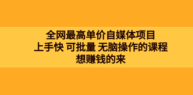 全网最单高价自媒体项目：上手快 可批量 无脑操作的课程，想赚钱的来-云网创资源站