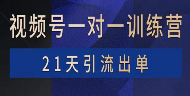 视频号训练营：带货，涨粉，直播，游戏，四大变现新方向，21天引流出单-云网创资源站