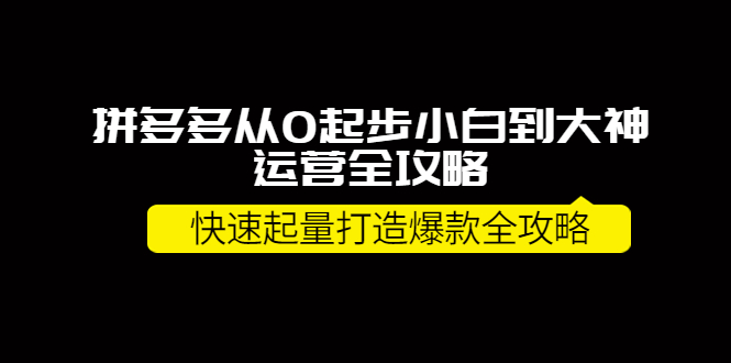 拼多多从0起步小白到大神运营全攻略，快速起量打造10W+爆款全攻略！-云网创资源站