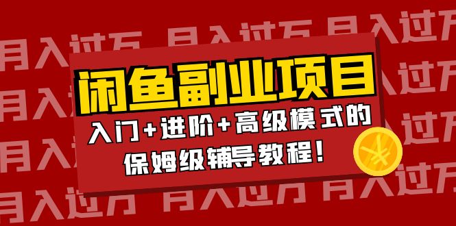 月入过万闲鱼副业项目：入门+进阶+高级模式的保姆级辅导教程！-云网创资源站