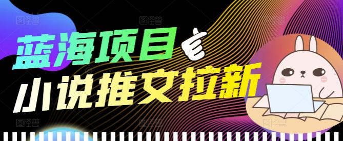 外面收费6880的小说推文拉新项目，个人工作室可批量做【详细教程】-云网创资源站