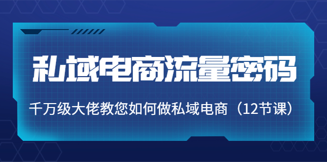 私域电商流量密码：千万级大佬教您如何做私域电商-云网创资源站