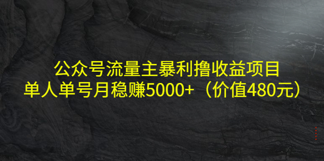 公众号流量主暴利撸收益项目，单人单号月稳赚5000+-云网创资源站