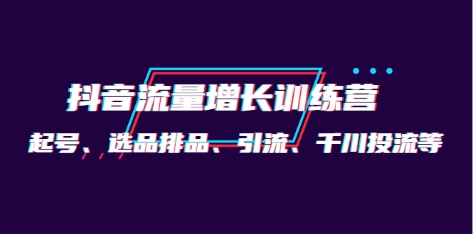 月销1.6亿实操团队·抖音流量增长训练营：起号、选品排品、引流 千川投流等-云网创资源站