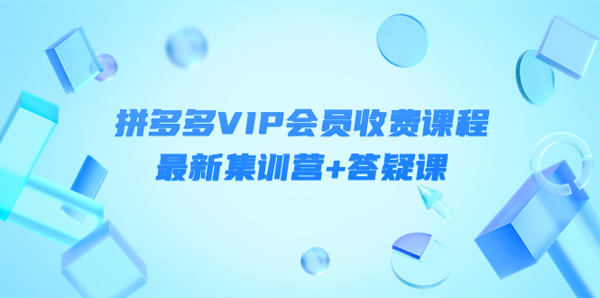 某社群·拼多多VIP会员收费课程，最新集训营+答疑课-价值3299元-云网创资源站