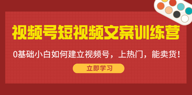 视频号短视频文案训练营：0基础小白如何建立视频号，上热门，能卖货！-云网创资源站