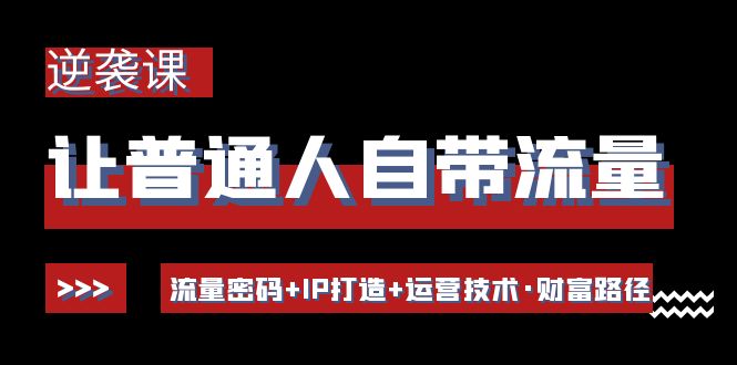 让普通人自带流量的逆袭课：流量密码+IP打造+运营技术·财富路径-云网创资源站