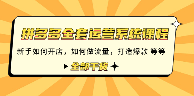 拼多多全套运营系统课程：新手如何开店 如何做流量 打造爆款 等等 全部干货-云网创资源站