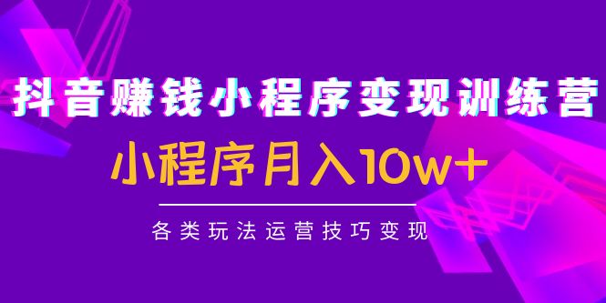 抖音赚钱小程序变现训练营：小程序月入10w+各类玩法运营技巧变现-云网创资源站