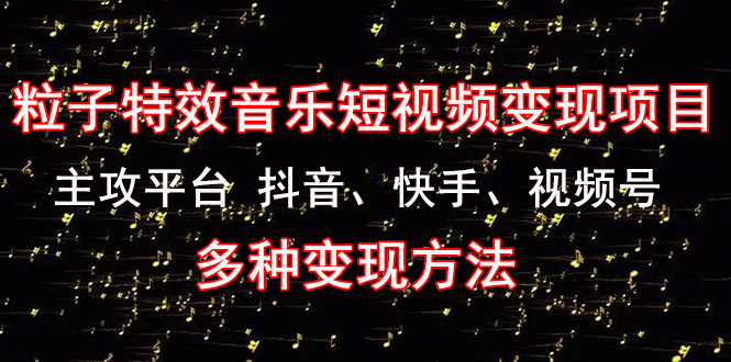 《粒子特效音乐短视频变现项目》主攻平台 抖音、快手、视频号 多种变现方法-云网创资源站