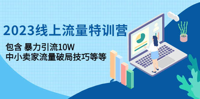 2023线上流量特训营：包含暴力引流10W+中小卖家流量破局技巧等等-云网创资源站