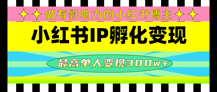 某收费培训-小红书IP孵化变现：做有影响力的小红书博主，最高单人变现300w+-云网创资源站