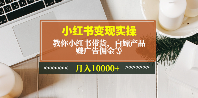 小红书变现实操：教你小红书带货，白嫖产品，赚广告佣金等，月入10000+-云网创资源站