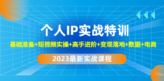 2023个人IP实战特训：基础准备+短视频实操+高手进阶+变现落地+数据+电商-云网创资源站