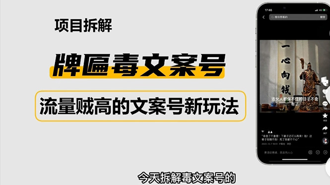 2023抖音快手毒文案新玩法，牌匾文案号，起号快易变现-云网创资源站