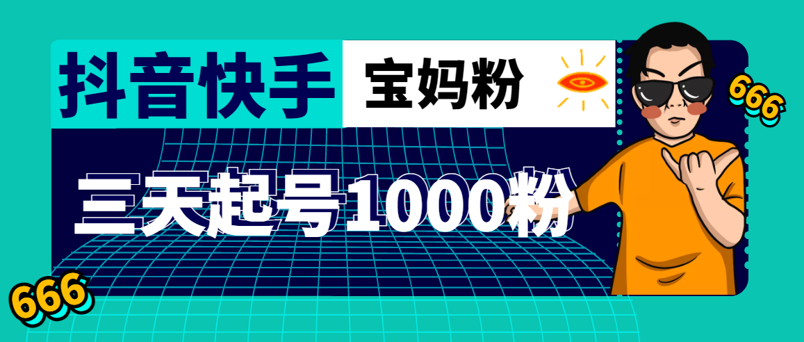 抖音快手三天起号涨粉1000宝妈粉丝的核心方法【详细玩法教程】-云网创资源站