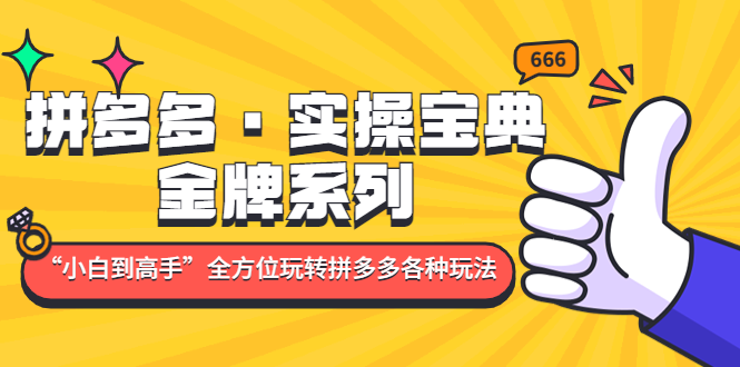 拼多多·实操宝典：金牌系列“小白到高手”带你全方位玩转拼多多各种玩法-云网创资源站