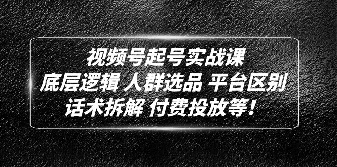 视频号起号实战课：底层逻辑 人群选品 平台区别 话术拆解 付费投放等！-云网创资源站