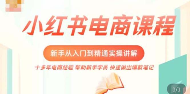 小红书电商新手入门到精通实操课，从入门到精通做爆款笔记，开店运营-云网创资源站