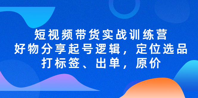 短视频带货实战训练营，好物分享起号逻辑，定位选品打标签、出单，原价-云网创资源站