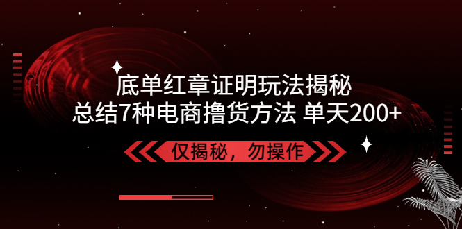 独家底单红章证明揭秘 总结7种电商撸货方法 操作简单,单天200+【仅揭秘】-云网创资源站