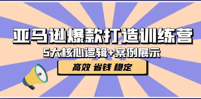 亚马逊爆款打造训练营：5大核心逻辑+案例展示 打造爆款链接 高效 省钱 稳定-云网创资源站