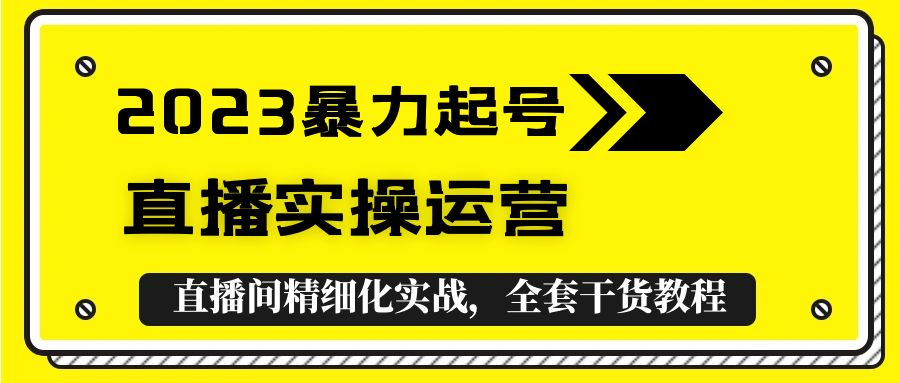 2023暴力起号+直播实操运营，全套直播间精细化实战，全套干货教程！-云网创资源站