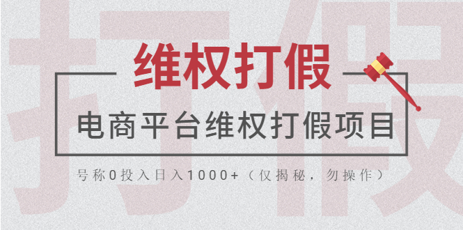 电商平台维权打假项目，号称0投入日入1000+-云网创资源站