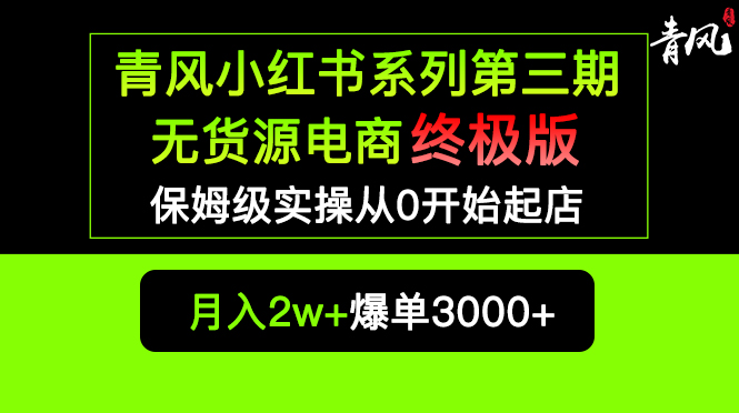 小红书无货源电商爆单终极版【视频教程+实战手册】保姆级实操从0起店爆单-云网创资源站