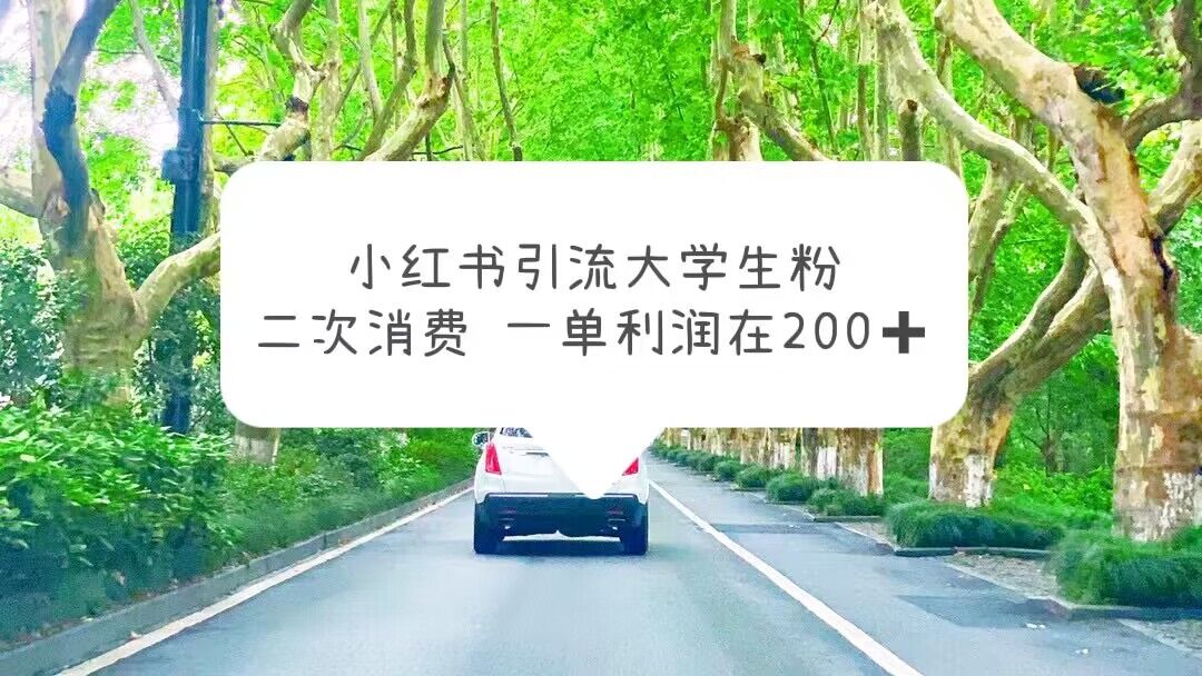 小红书引流大学生粉，变现项目，一单利润在200+-云网创资源站