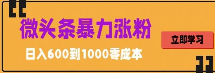 微头条暴力涨粉技巧搬运文案就能涨几万粉丝，简单0成本，日赚600-云网创资源站