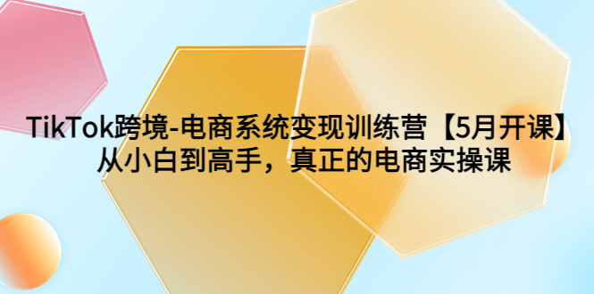 TikTok跨境-电商系统变现训练营【5月新课】从小白到高手，真正的电商实操课-云网创资源站