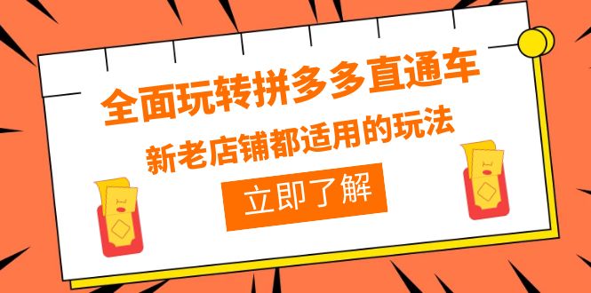 全面玩转拼多多直通车，新老店铺都适用的玩法-云网创资源站