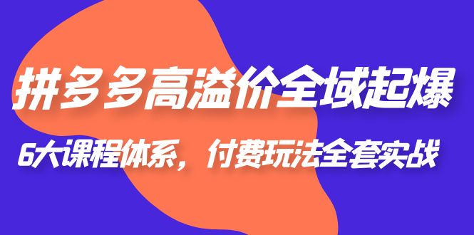 拼多多-高溢价 全域 起爆，6大课程体系，付费玩法全套实战！-云网创资源站