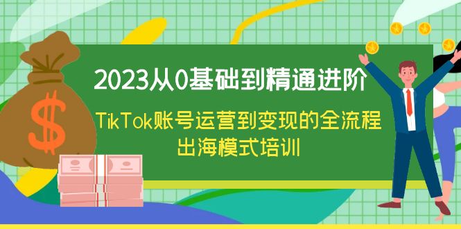 2023从0基础到精通进阶，TikTok账号运营到变现的全流程出海模式培训-云网创资源站