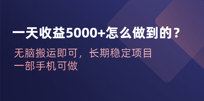 一天收益5000+怎么做到的？无脑搬运即可，长期稳定项目，一部手机可做-云网创资源站