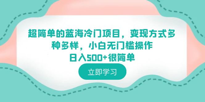 超简单的蓝海冷门项目，变现方式多种多样，小白无门槛操作日入500+很简单-云网创资源站