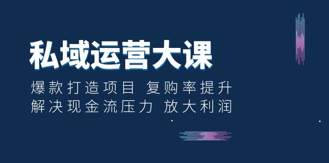 私域运营大课：爆款打造项目 复购率提升 解决现金流压力 放大利润-云网创资源站