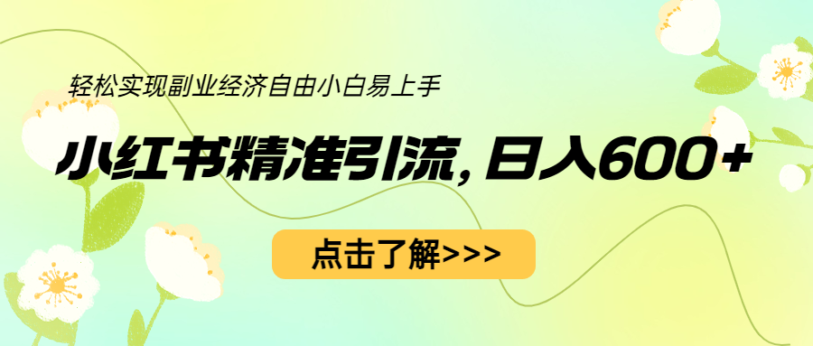 小红书精准引流，小白日入600+，轻松实现副业经济自由-云网创资源站