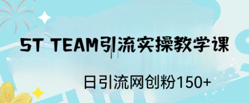 ST TEAM引流实操课，日引流网创粉100+-云网创资源站